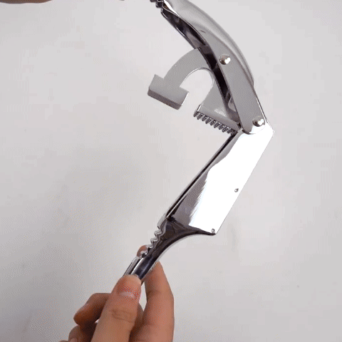 Press_Garlic_Press_Slicer