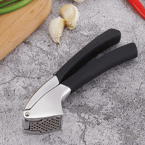 StainlessSteelGarlicPressSet