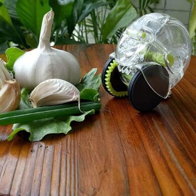 Presse Ail Garlic™ ergonomique démontable facile à nettoyer - Cuisinezchezvous.com