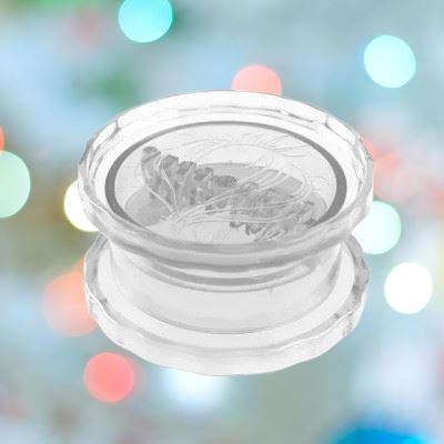 CrusherGarlic™ - blanc-Cuisinezchezvous.com