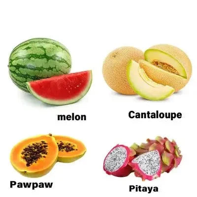 Taille Melon | Special EasyCut™ - Cuisinezchezvous.com