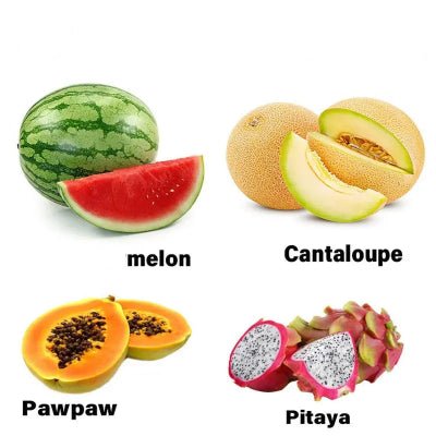 Taille Melon | Special EasyCut™ - Cuisinezchezvous.com